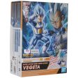 Entry Grade Figure-rise Super Saiyan God 3 Vegeta Supply