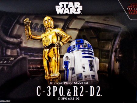 Star Wars C-3PO and R2-D2 Fashion