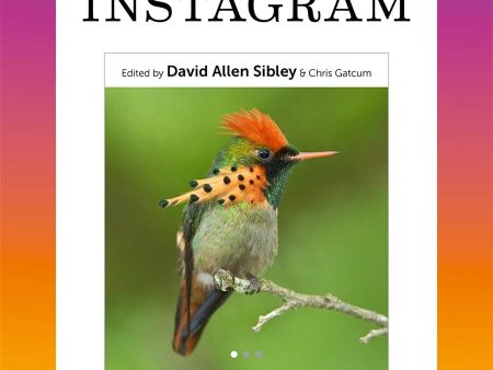 Birds Of Instagram For Sale